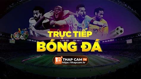 Khám Phá Thế Giới trực tiếp bóng đá nhà kèo cái - Những Điều Chưa Biết Về trực tiếp bóng đá nhà kèo cái